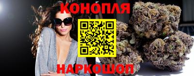 МДПВ Лесосибирск
