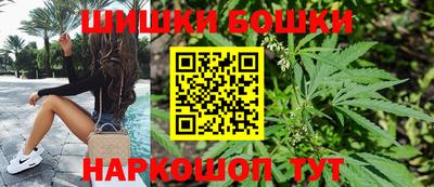 МДПВ Лесосибирск