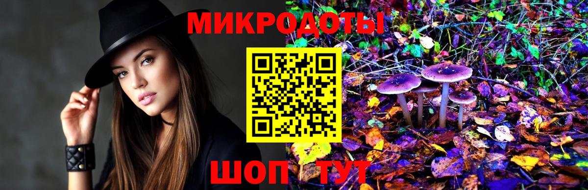 Псилоцибиновые грибы ЛСД Партизанск